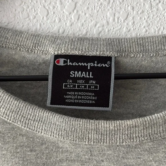 Champion Gray Cropped T-Shirt - S - Picture 4 of 5